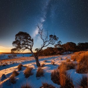 Why the Multidisciplinary Approach Matters